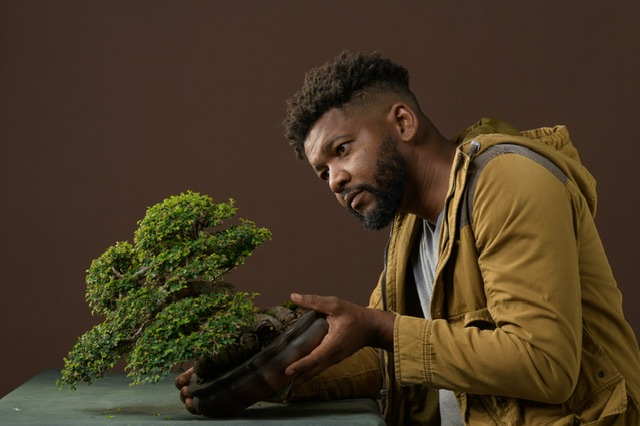 Cuarta  exposición nacional de Bonsái en Ágora Mall