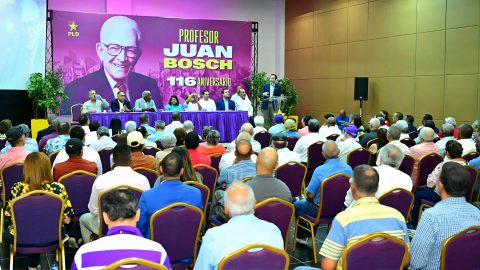 El PLD es el único Partido del país, los demás son movimientos