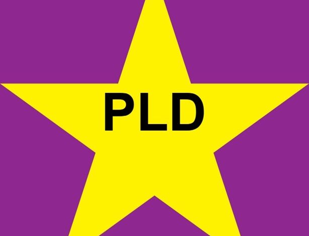 Algunos en el PLD obstaculizan y buscan la quinta pata al gato para señalar candidato presidencial