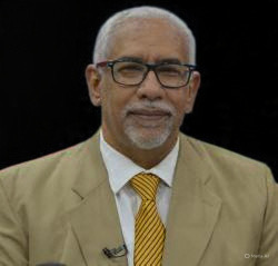 Pichones de dictador sin tropas