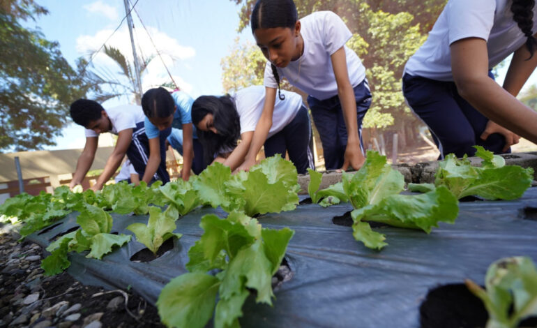 Huertos escolares del INABIE promueven conciencia ambiental y alimentaria en estudiantes
