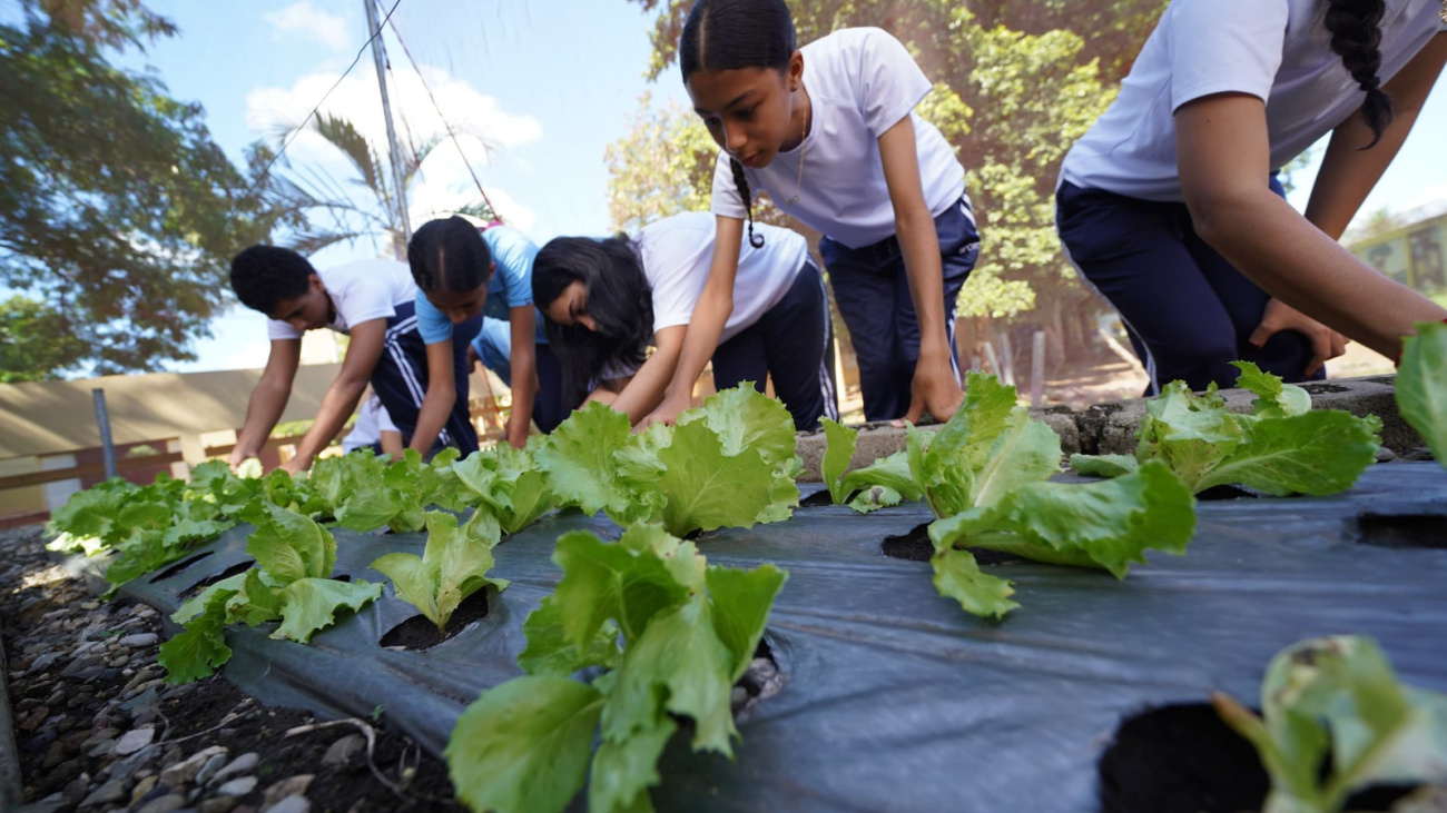 Huertos escolares del INABIE promueven conciencia ambiental y alimentaria en estudiantes
