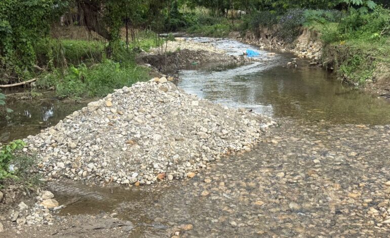 Depredación/ Dirigente popular de Moca demanda acción inmediata contra alcalde de Las Lagunas.