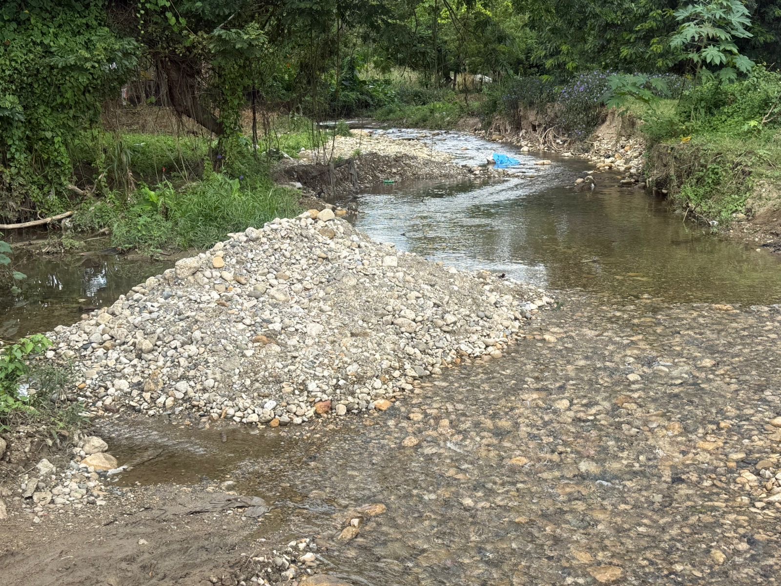 Depredación/ Dirigente popular de Moca demanda acción inmediata contra alcalde de Las Lagunas.