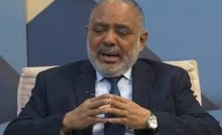 Tejada defiende constitucionalidad de aplicar Ley 83-24 a obras estatales