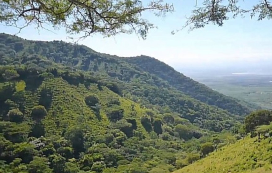 Ambientalista dice, medida del MEM de negar permiso de exploración Cordillera es un acto de justicia
