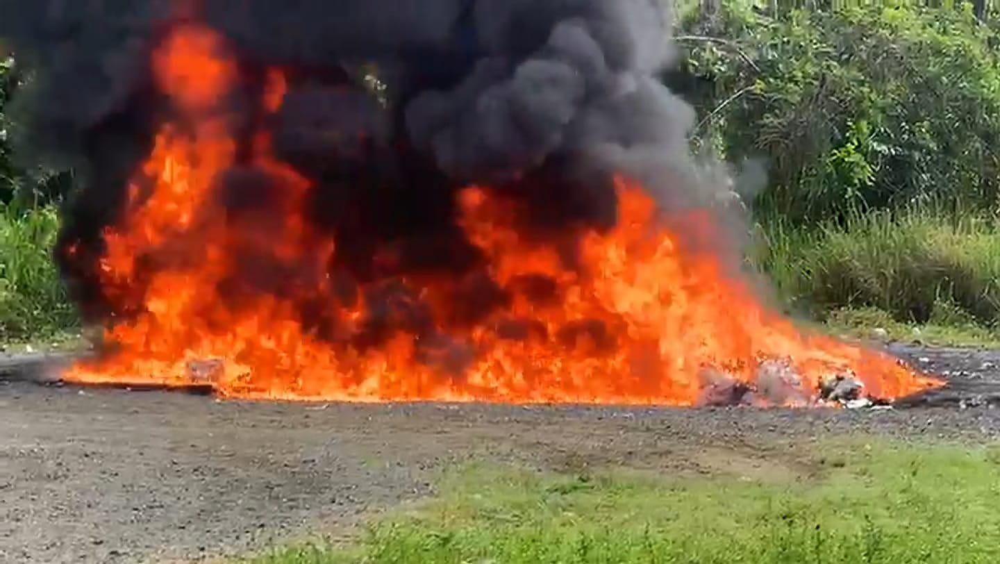 Inacif destruye más 1,400 kilogramos de distintas drogas