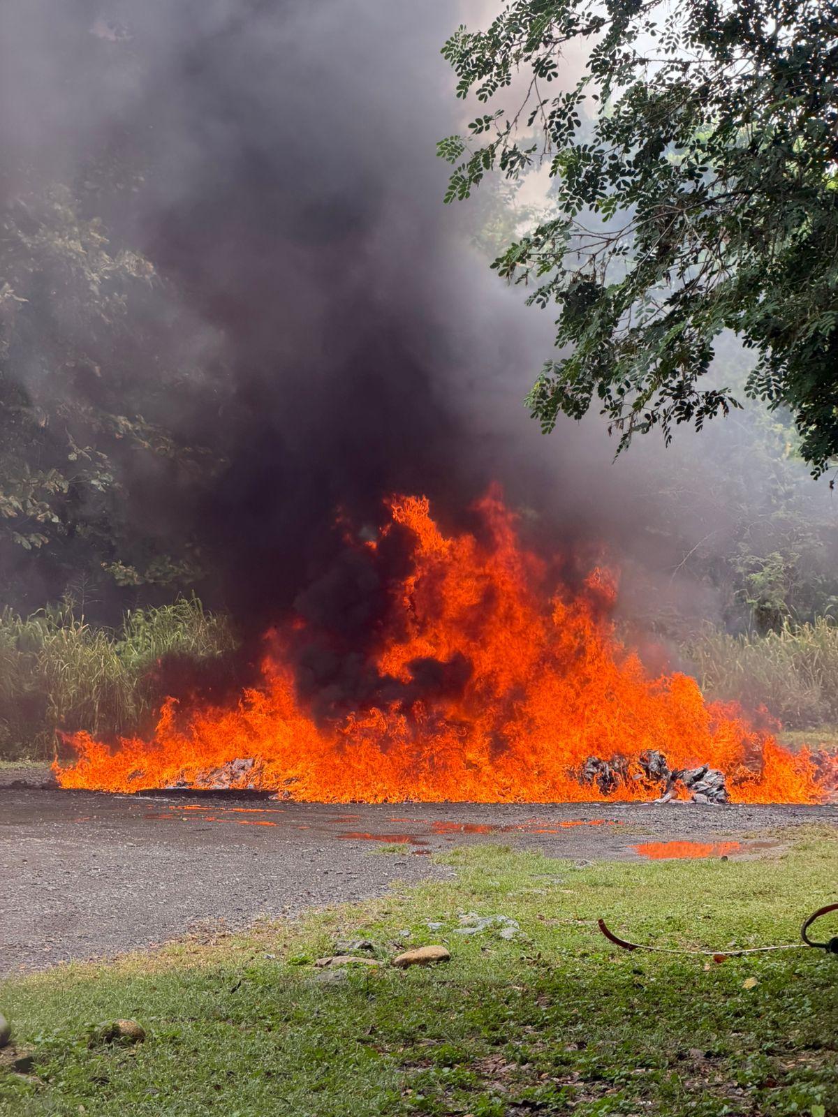 DNCD: en lo que va de año ha incinerado 19 mil 195 Kilogramos y 403 gramos.