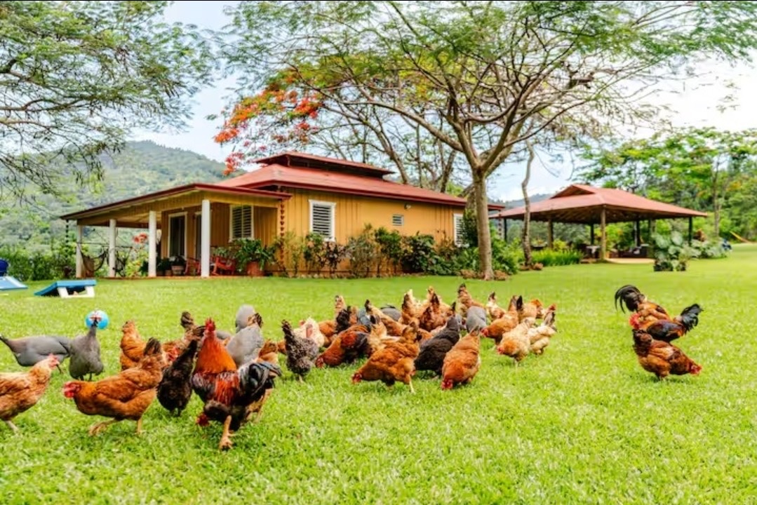 Continúan llegando turistas al proyecto “Hacienda del Río Bonao”.