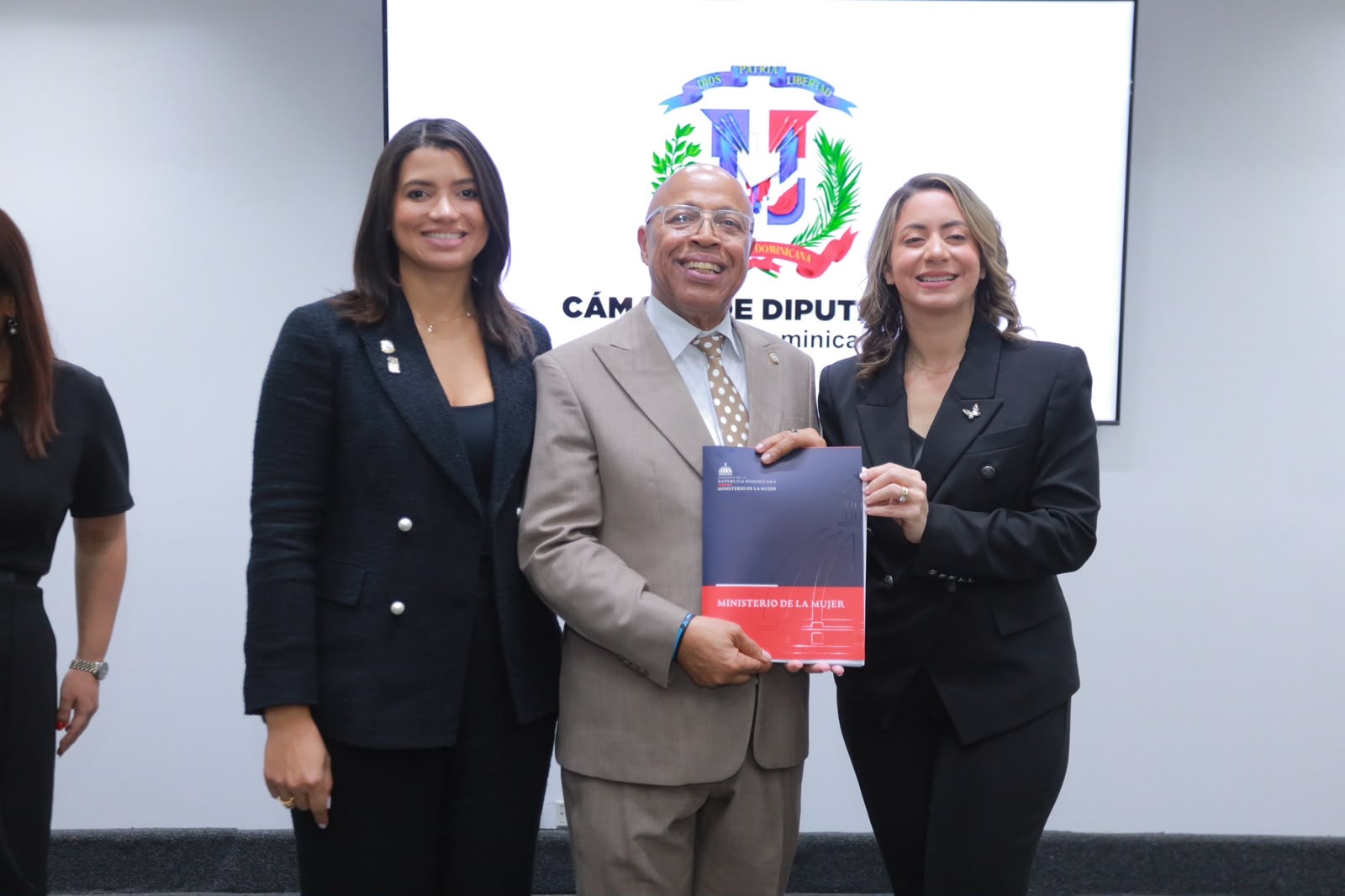 Ministerio de la Mujer aclara alcances de proyecto de Ley Mirabal.